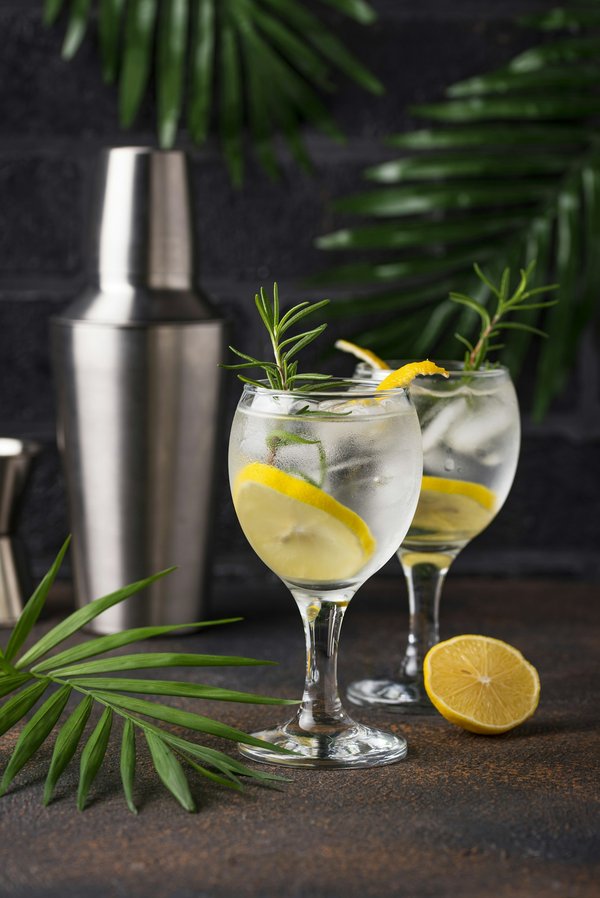 What Are the Key Elements for Starting a Craft Gin Distillery in the UK?